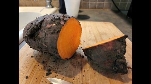 Combat Good Shortages - Start Your Own Sweet Potato Slips