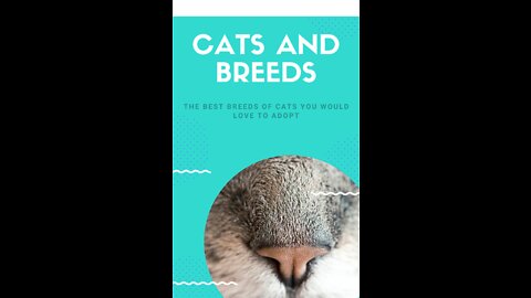 All Cats Breeds