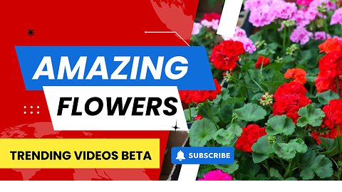 AMAZING FLOWERS - MELTS UR EYES