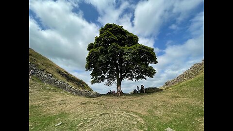 Sycamore Gap - Wanton criminal damage, or a mistake?