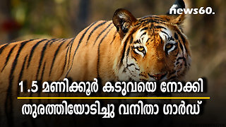 1 .5 മണിക്കൂർ കടുവയെ നോക്കി തുരത്തിയോടിച്ചു വനിതാ ഗാർഡ്