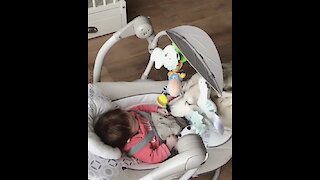 Husky sweetly plays with happy baby