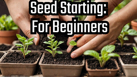 Secrets to Growing Plants from Seeds