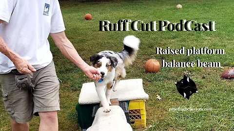 Ruff Cut PodCast: Raised Platform and Balance Beam Part 4 afternoon training