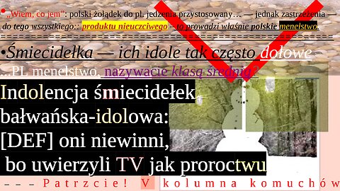 To menelstwo, nazywacie klasą średnią? | Polemika do Pińskiego: Tusk, media, telewizja, KULTIpleks