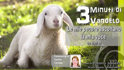 GESù disse:«LE MIE PECORE ASCOLTANO LA MIA VOCE e io le conosco.Io do loro la vita eterna e non andranno perdute in eterno e NESSUNO le strapperà dalla mia mano.Il PADRE MIO è più grande di tutti e NESSUNO PUò STRAPPARLE DALLA MANO DEL PADRE» Gv10