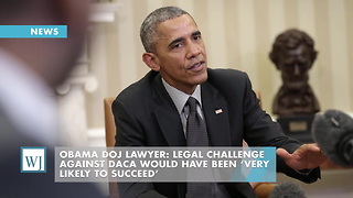 Obama DOJ Lawyer: Legal Challenge Against DACA Would Have Been ‘Very Likely To Succeed’