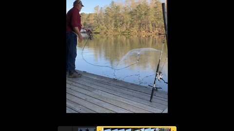 How to video on throwing a net to catch bait fish