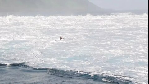 WILD TEAHUPOO EVENING PADDLE SESSION, SWELL PULSES BEFORE DARK!