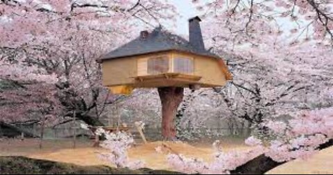 tree house