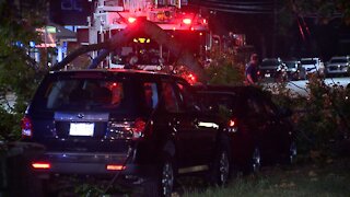 Tree branch crashes down on vehicles in Lakewood