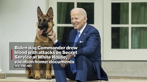 Biden Repeatedly Watched His Dog Attack Secret Service as Staff Wished Each Other ‘Safe Shift’