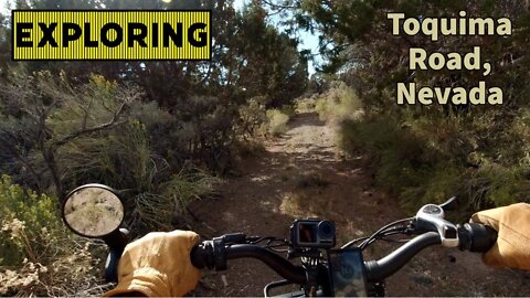 Exploring Toquima Road - Camping Adventure