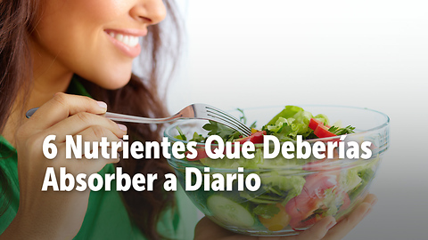 6 Nutrientes Que Deberías Absorber a Diario