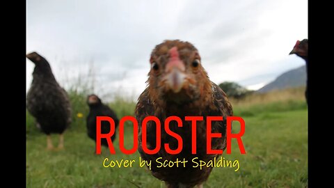 Rooster - Scott Spalding - 1st Practise - Alice in Chains Cover