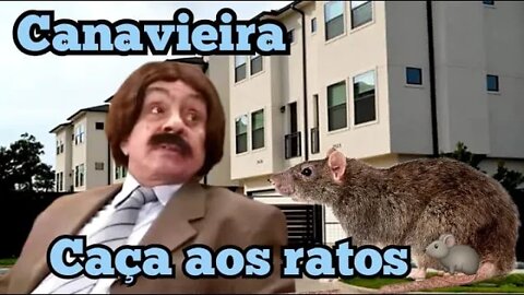 Chico Anysio Show; Canavieira, caça aos ratos 🐭🐭🐭