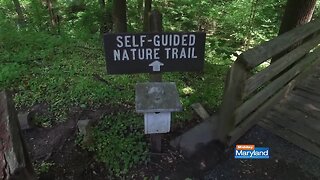 Oregon Ridge Nature Center