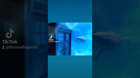 🐬 #DOCTORWHO #DOLPHIN #TARDIS #SEAWORLD 🐬 #OCEAN #UNDERWATER #TRAVELINGTARDIS #SUBSCRIBE #SHORTS