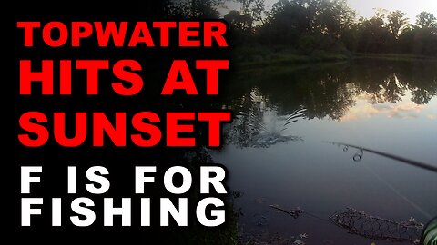 Topwater Hits at Sunset