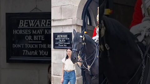 Still holding the reins new next to her #horseguardsparade