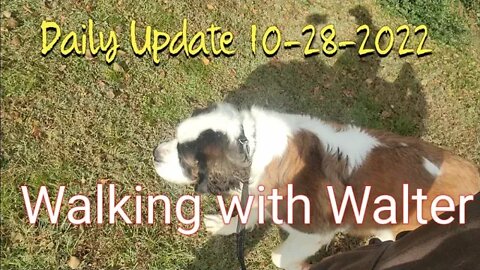 Daily Update Oct 28th 2022 Walking with Walter.