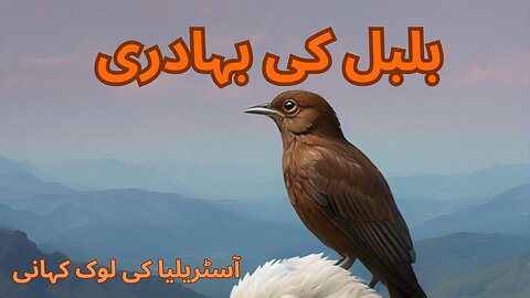 AN AUSTRALIAN FOLKTALE | BRAVERY OF NIGHTINGALE| بلبل کی بہادری|A MORAL STORY