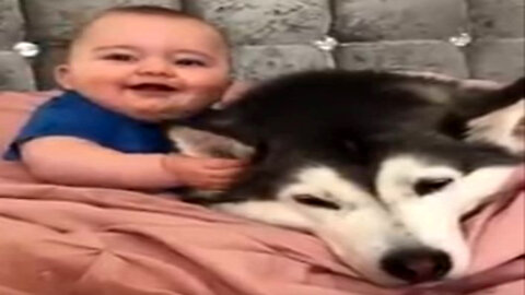 Dog's Loving Reaction To Baby Is Simply Priceless!