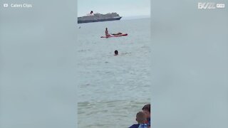 Friendly seal climbs onto paddle board