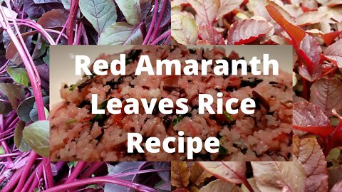 How to cook red amaranth leaves rice. Very quick & simple recipe.