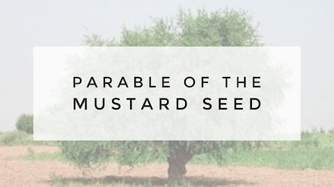 10.21.20 Wednesday Lesson - PARABLE OF THE MUSTARD SEED