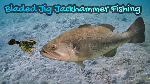 Summer Shallow Water Jackhammer Bass Fishing