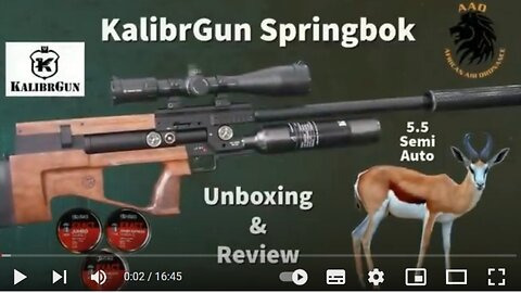 KalibrGun Springbok 5.5mm Unboxing and review