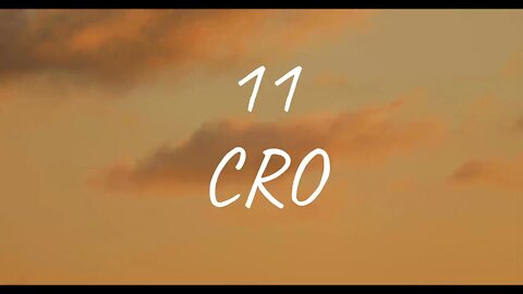 CRO - 11 (Lyrics)