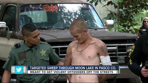 Targeted sweep through Moon Lake in Pasco Co.