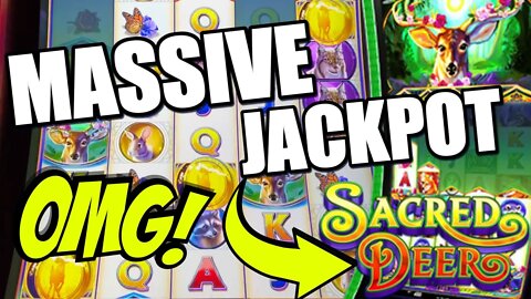 MY BIGGEST & QUICKEST JACKPOT EVER ON SACRED DEER! THIS NEW SLOT IS PAYING