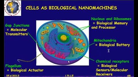 A.I. & Synthetic Biology Poised To Create Alien Life On Our Planet - Wow