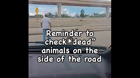 PSA: Always check to see if that lifeless puppy or kitten on the side of the road...