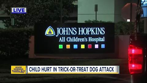 Dog attacks 3-year-old boy trick-or-treating in St. Petersburg