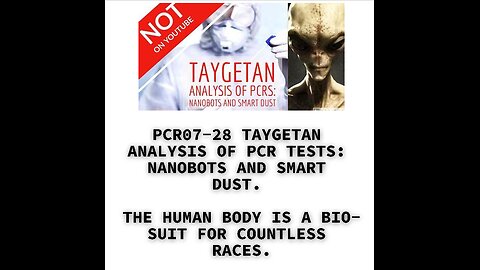 PCR07-28 TAYGETAN ANALYSIS OF PCR TESTS: NANOBOTS AND SMART DUST. THE HUMAN BODY IS A BIO-SUIT FOR C