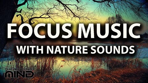 Study Sounds, Focus Music With Nature's Brook Sounds For Concentration