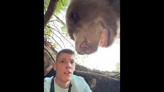 Serbian YouTuber Makes An Insane Video Hiding In A Bear's Cave With The Bear In His Face