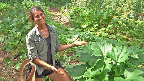 Permaculture Paradise! Val's Mandarin Garden