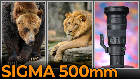 Sigma 500mm F5.6 DG DN OS Sport - Review and Test