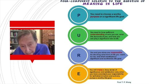 Integrative Meaning Therapy | Dr. Paul T. P. Wong | B1 part 4 | Meaning Conference 2021