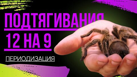 Периодизация. 12 подтягиваний в каждом из 9 подходов?