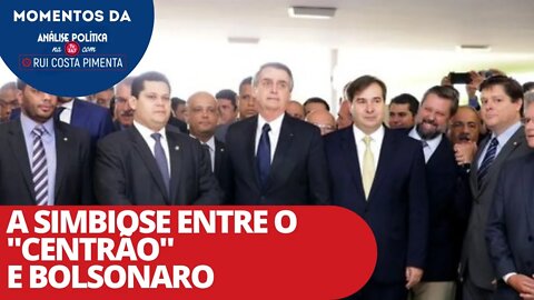 A simbiose entre o "Centrão" e Bolsonaro | Momentos da Análise na TV 247