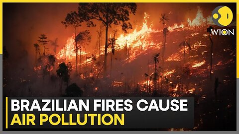 Brazilian wildfires rage in sugarcane fields | Latest News | WION