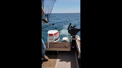 fishing lake Ontario