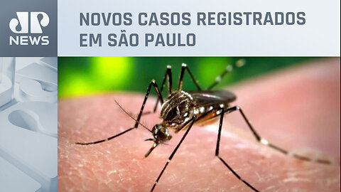 Saúde faz alerta para ressurgimento da dengue tipo 3