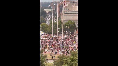 Pro-Palestine supporters took down the U.S. flag outside Union Station in DC and replaced it